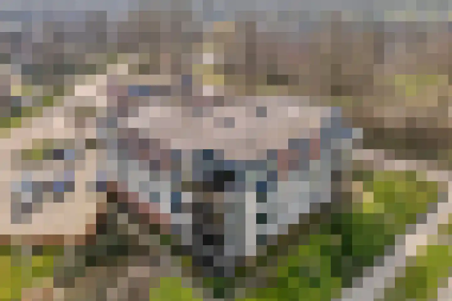 Gentiaan 20 Beilen foto 3