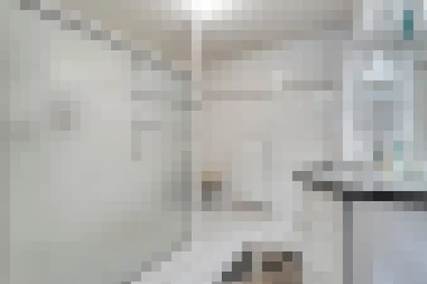 Gentiaan 20 Beilen thumbnail 31