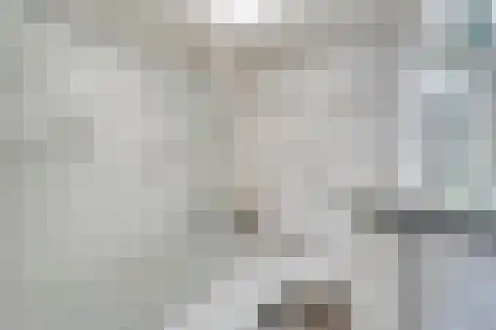 Gentiaan 20 Beilen thumbnail 31