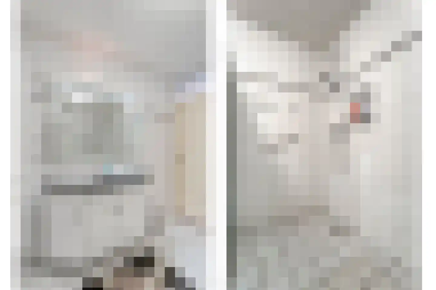 Gentiaan 20 Beilen thumbnail 32