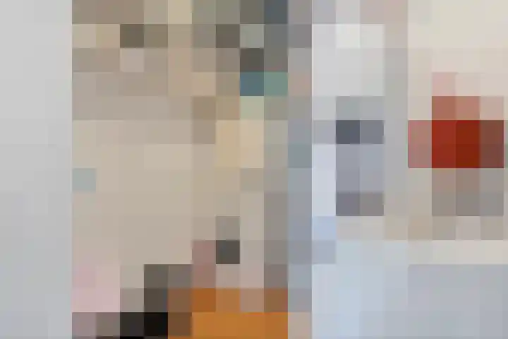 Gentiaan 20 Beilen thumbnail 33