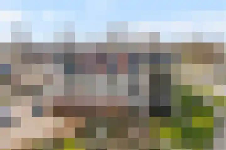 Gentiaan 20 Beilen thumbnail 36