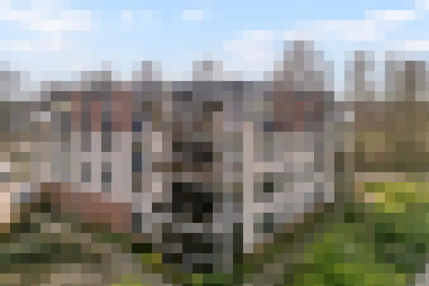 Gentiaan 20 Beilen thumbnail 37