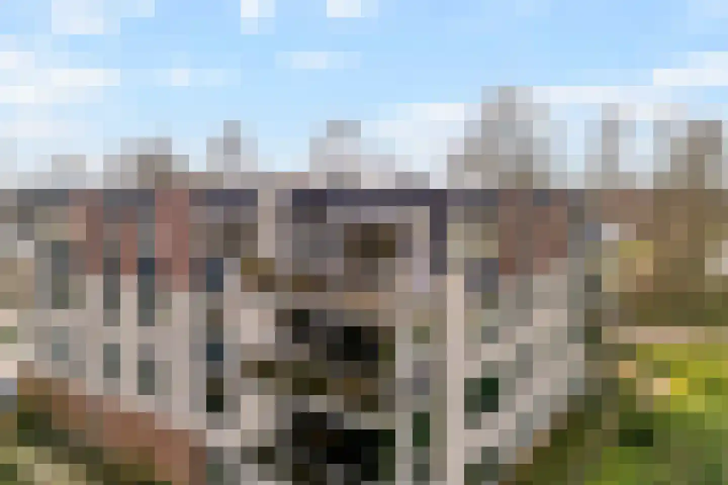 Gentiaan 20 Beilen thumbnail 38