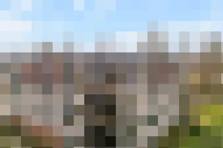 Gentiaan 20 Beilen thumbnail 38
