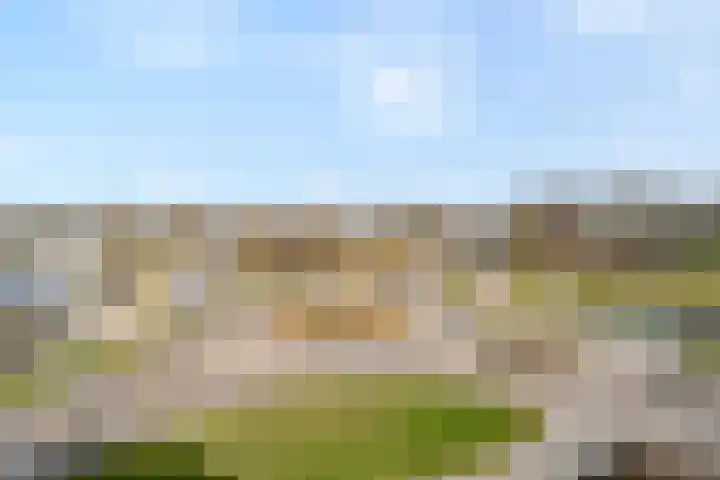 Gentiaan 20 Beilen thumbnail 39