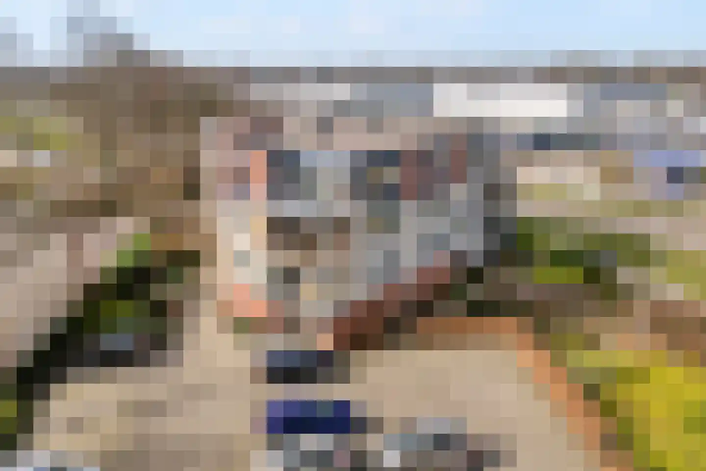 Gentiaan 20 Beilen thumbnail 4