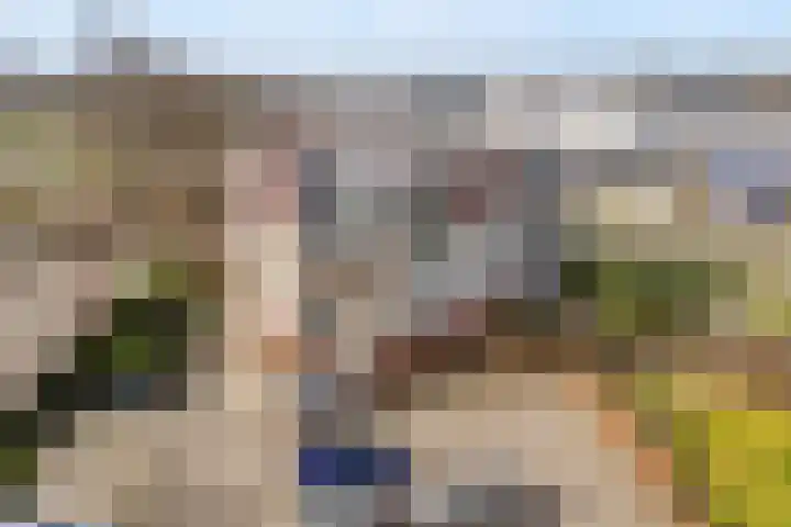 Gentiaan 20 Beilen thumbnail 4