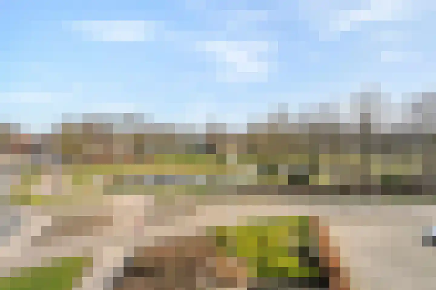 Gentiaan 20 Beilen thumbnail 40