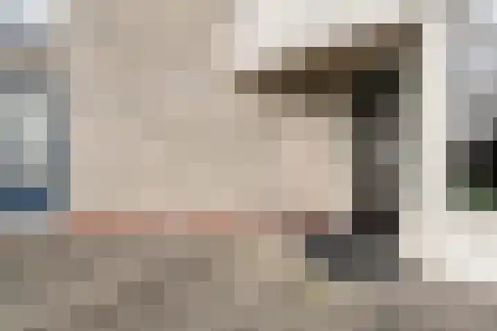 Gentiaan 20 Beilen thumbnail 6