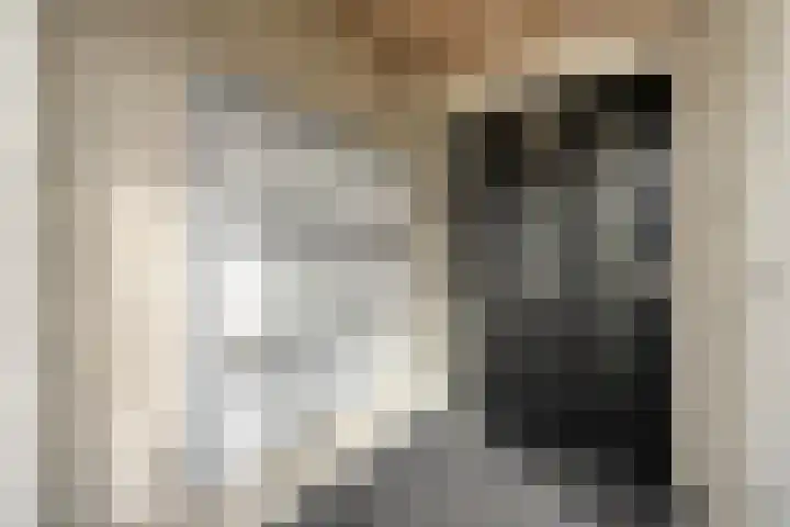 Gentiaan 20 Beilen thumbnail 7