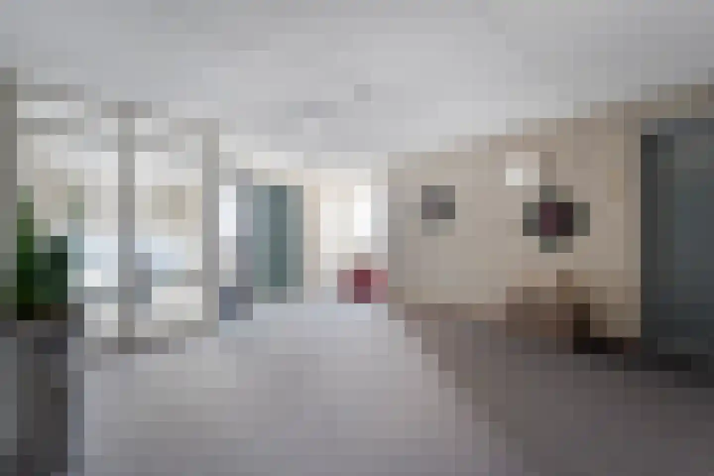 Gentiaan 20 Beilen thumbnail 8