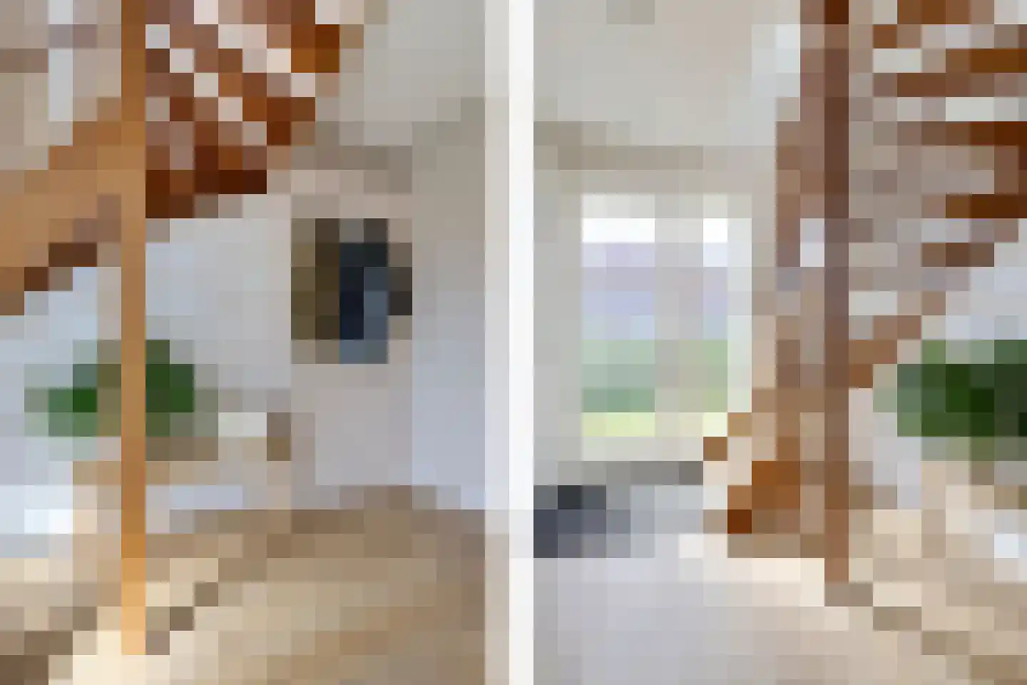 Gentiaan 20 Wijnjewoude thumbnail 11
