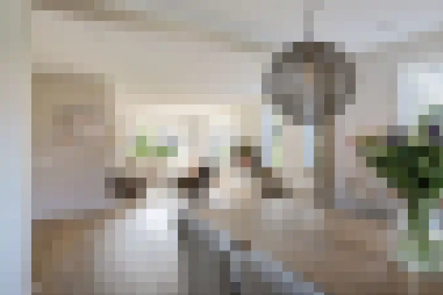 Gentiaan 20 Wijnjewoude thumbnail 18