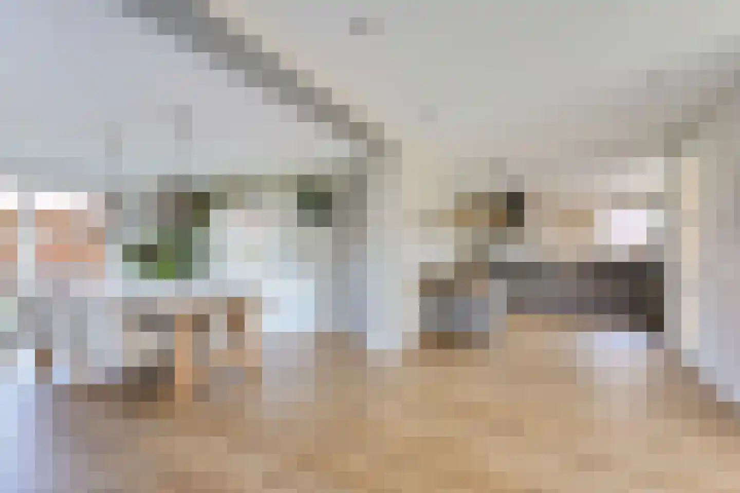 Gentiaan 20 Wijnjewoude thumbnail 19