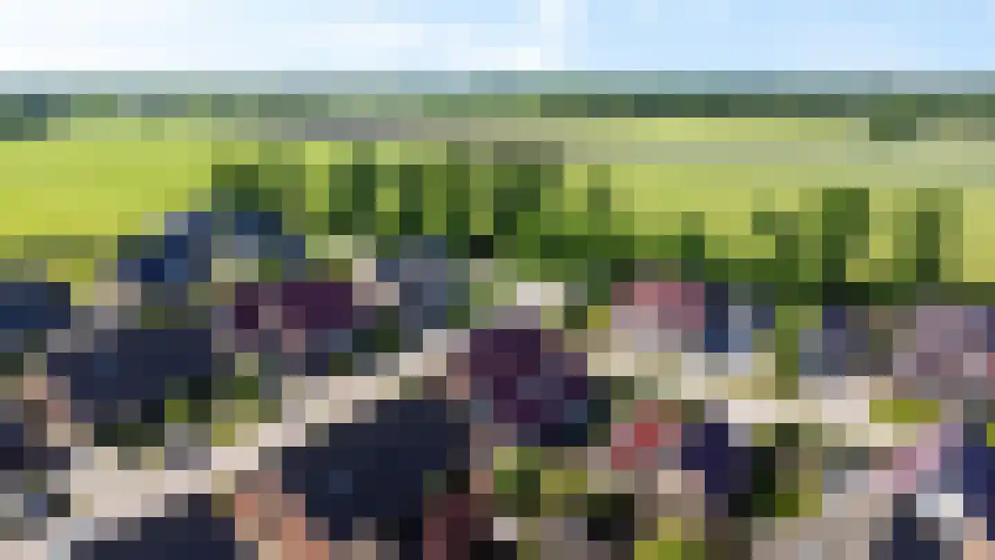 Gentiaan 20 Wijnjewoude foto 2