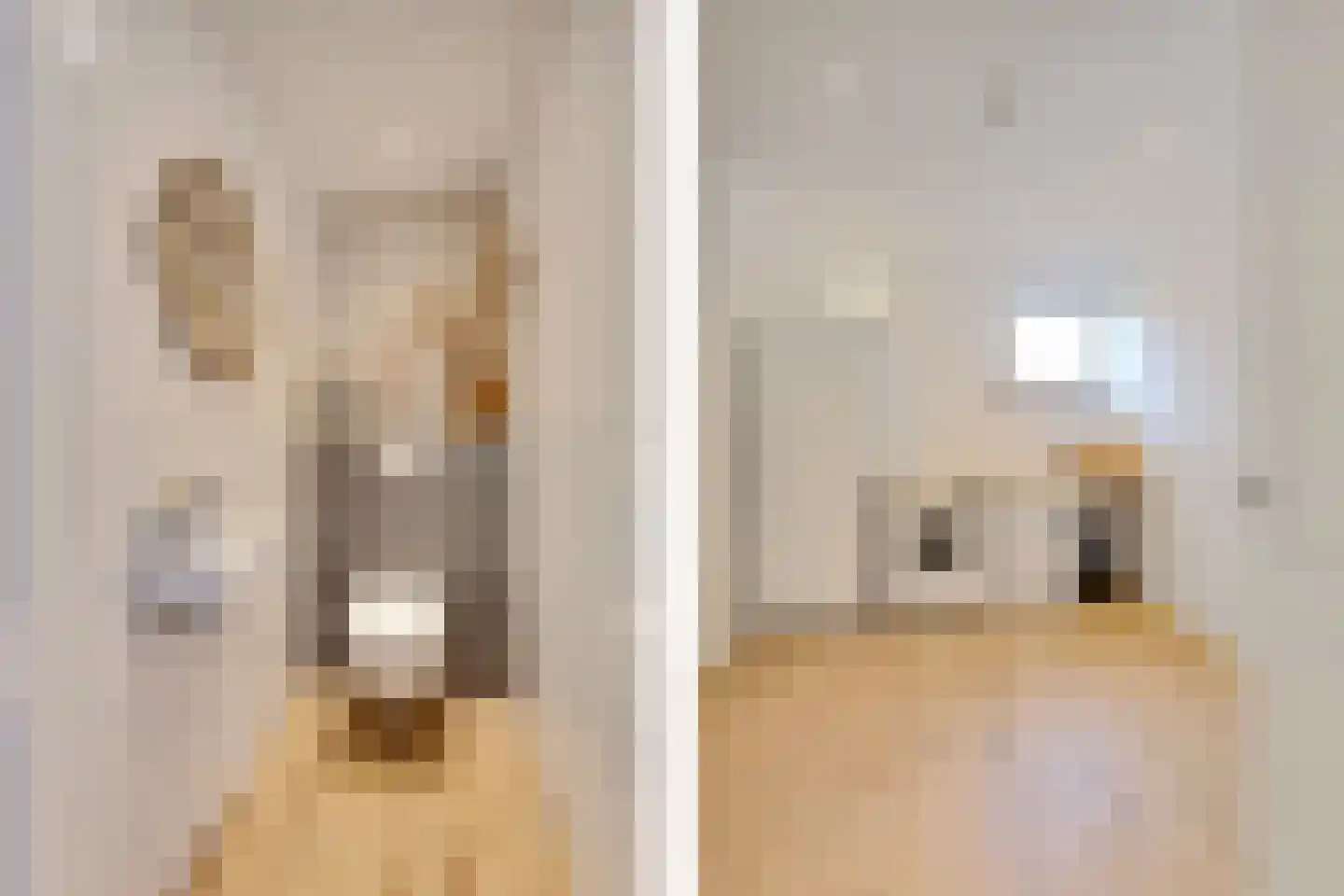 Gentiaan 20 Wijnjewoude thumbnail 24