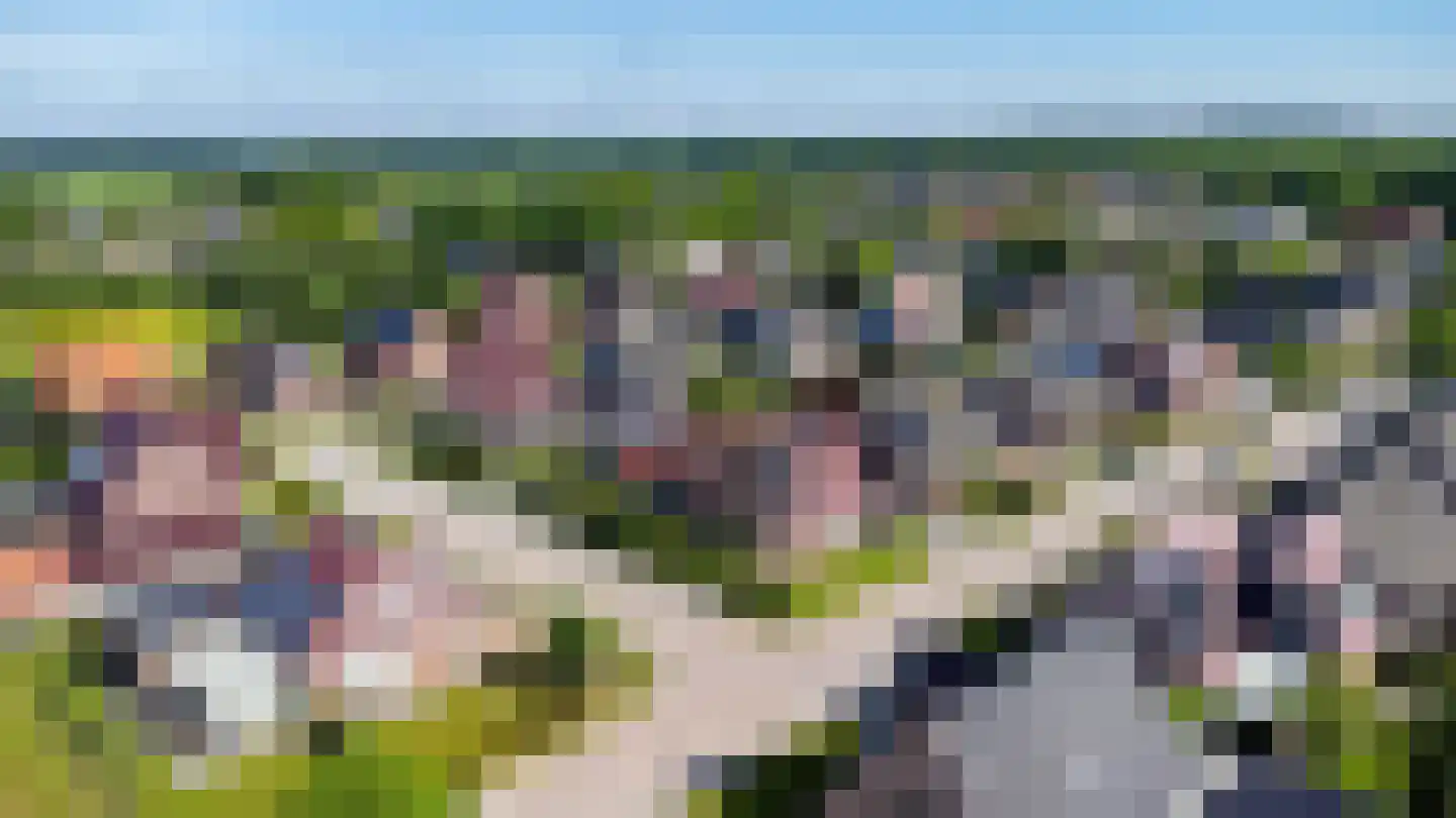 Gentiaan 20 Wijnjewoude foto 3
