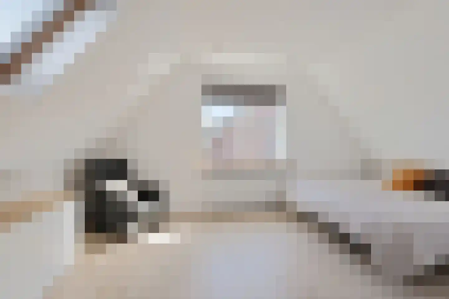 Gentiaan 20 Wijnjewoude thumbnail 32