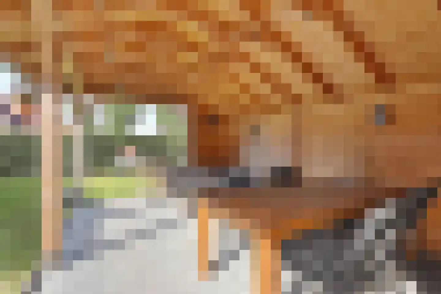 Gentiaan 20 Wijnjewoude thumbnail 38