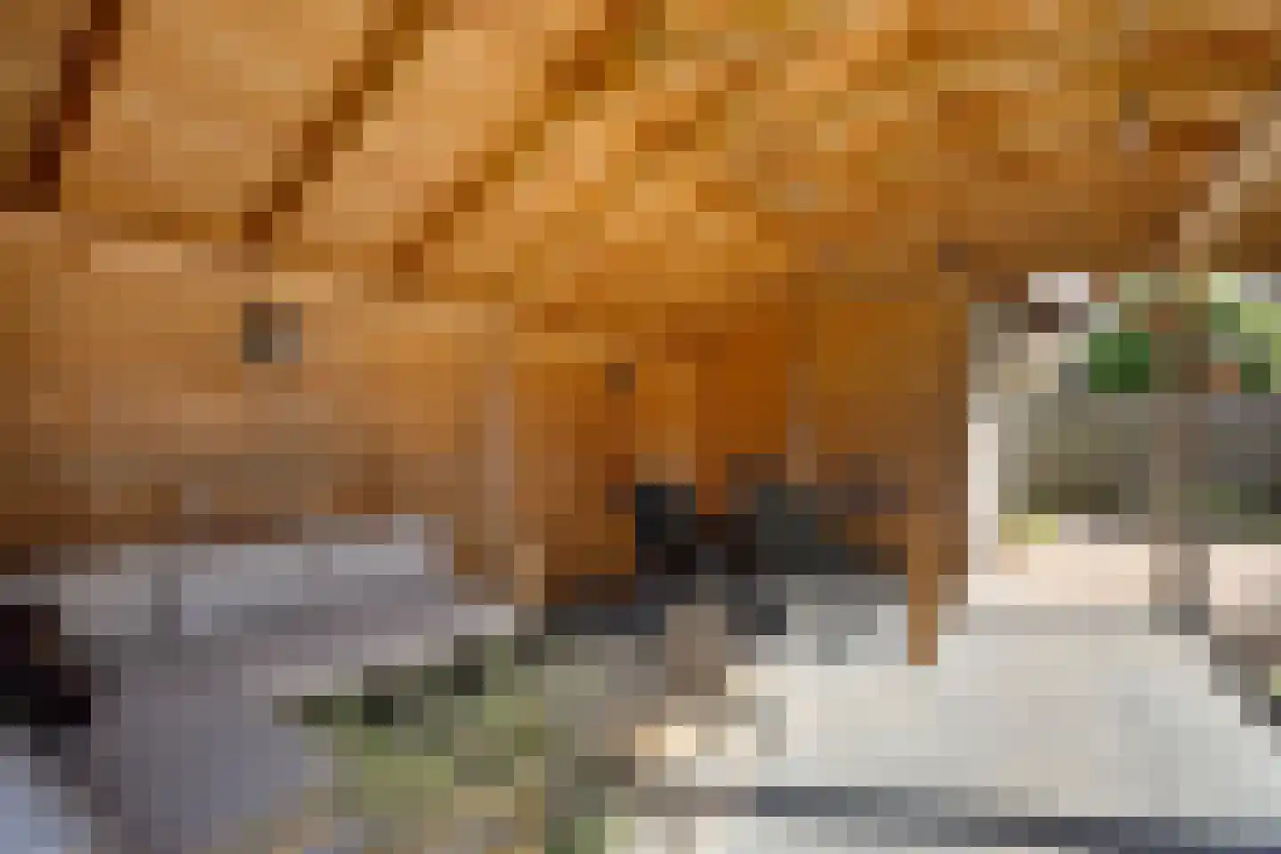 Gentiaan 20 Wijnjewoude thumbnail 39