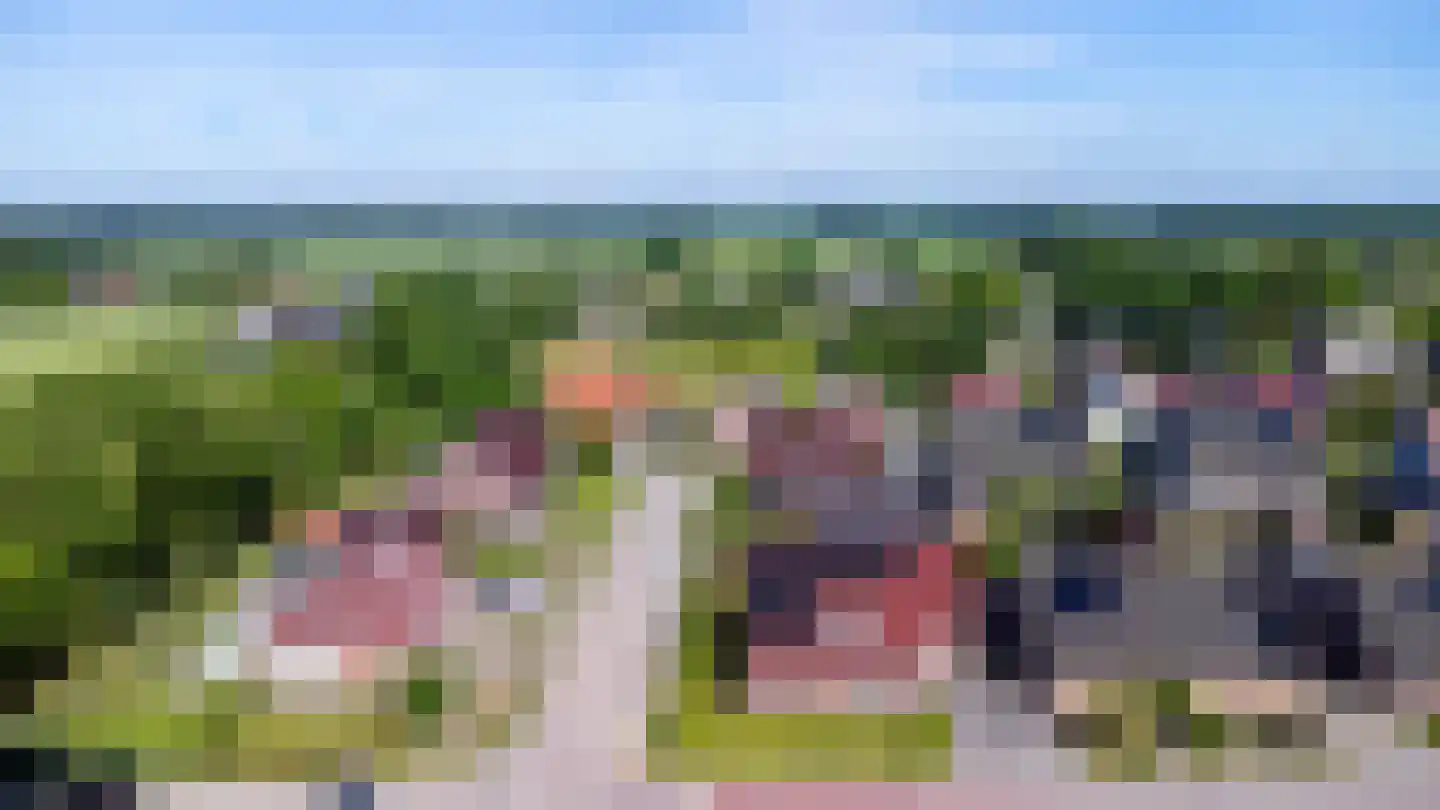 Gentiaan 20 Wijnjewoude thumbnail 4