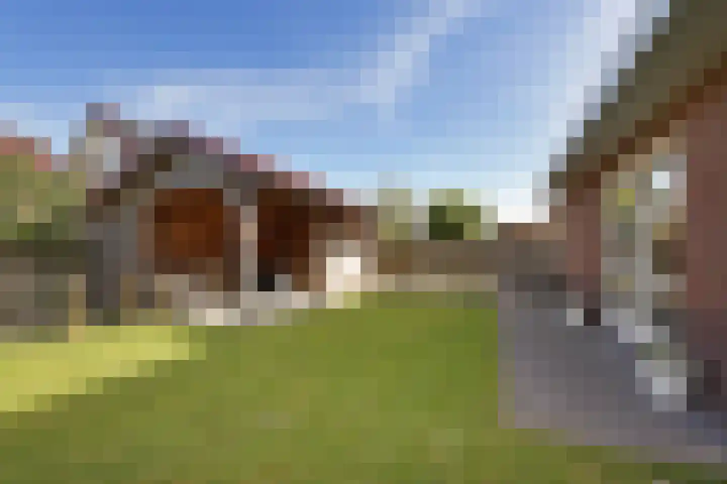 Gentiaan 20 Wijnjewoude thumbnail 40