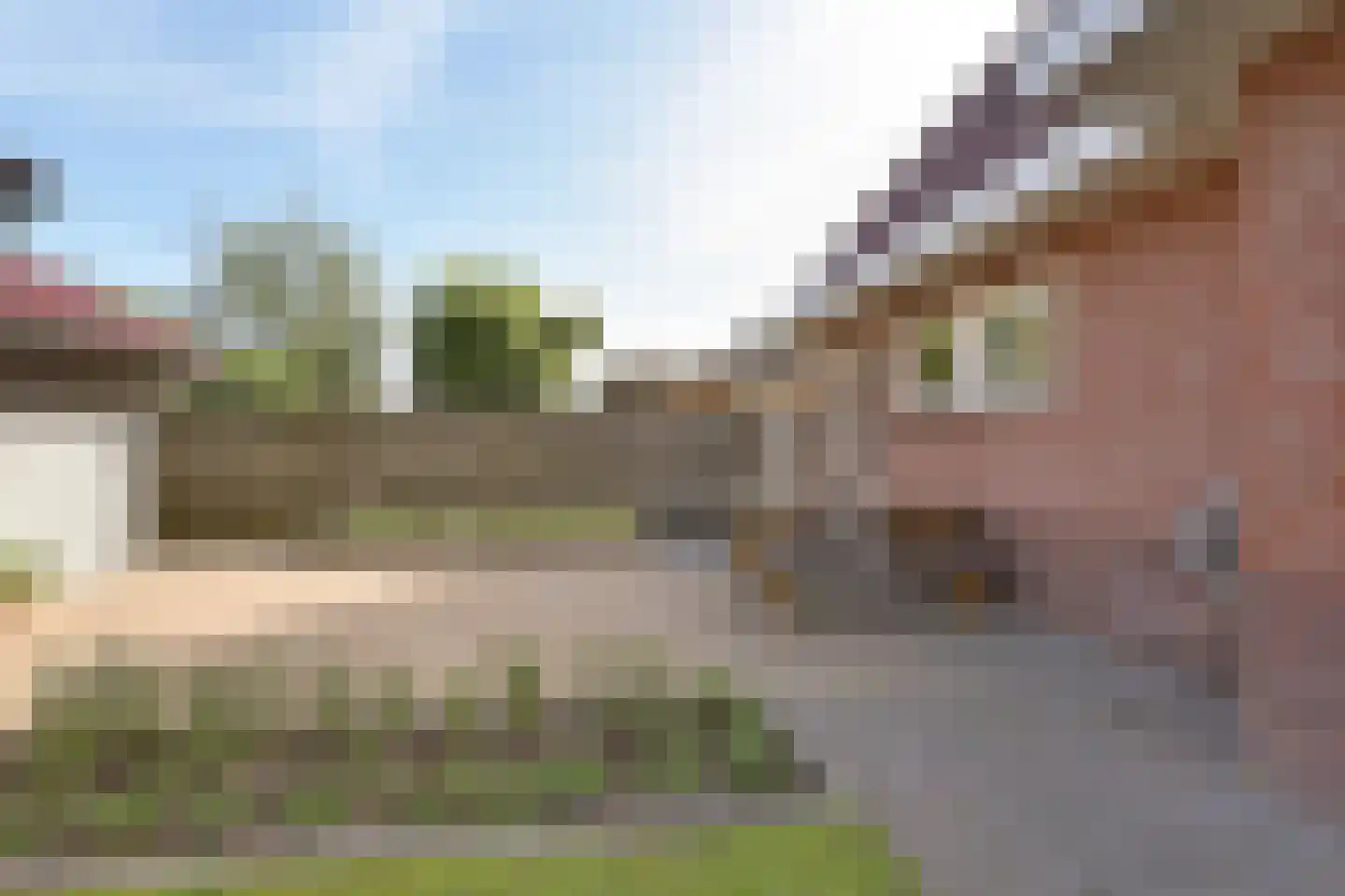 Gentiaan 20 Wijnjewoude thumbnail 41