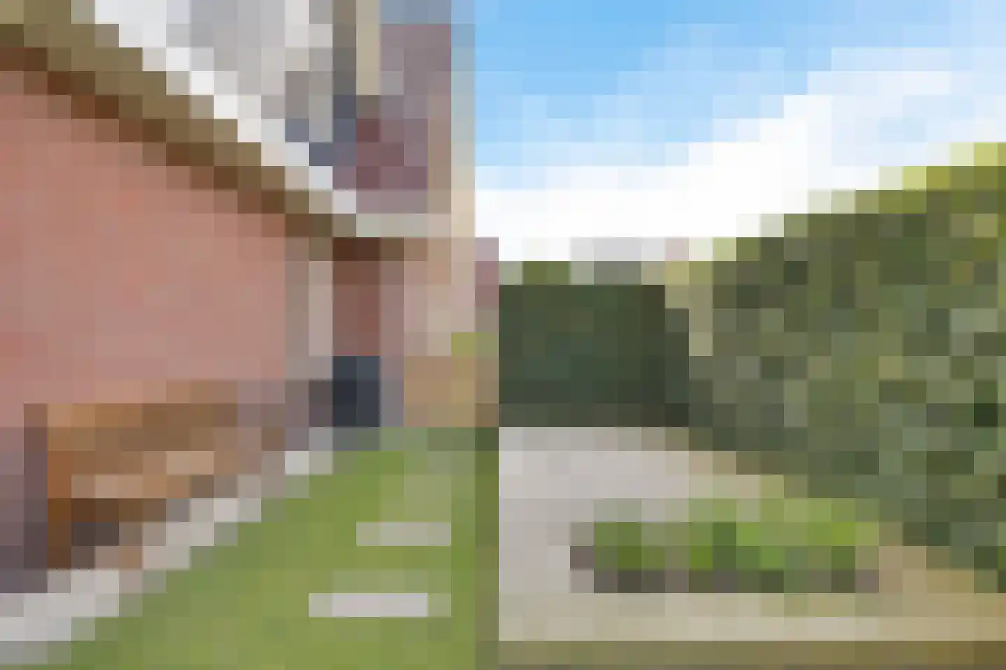 Gentiaan 20 Wijnjewoude thumbnail 42