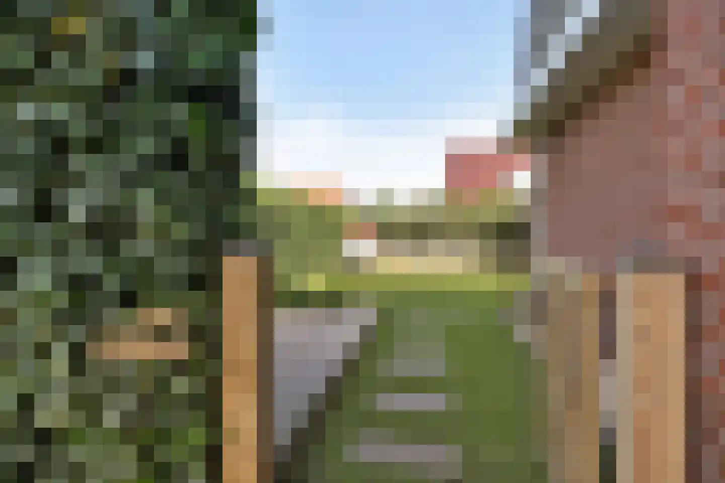 Gentiaan 20 Wijnjewoude thumbnail 43