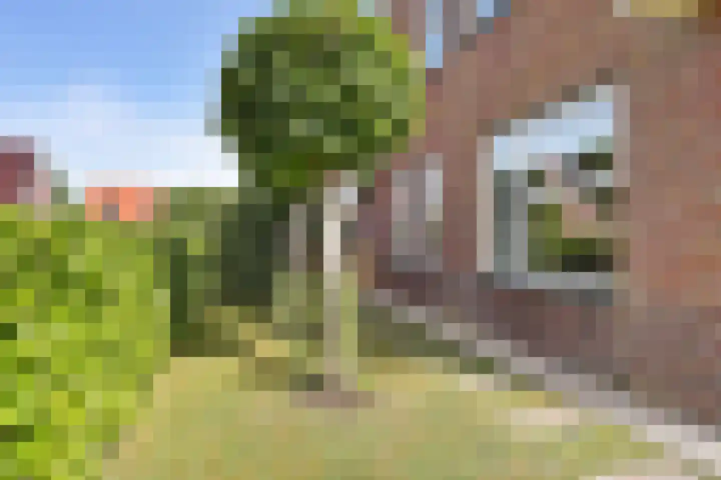 Gentiaan 20 Wijnjewoude thumbnail 44