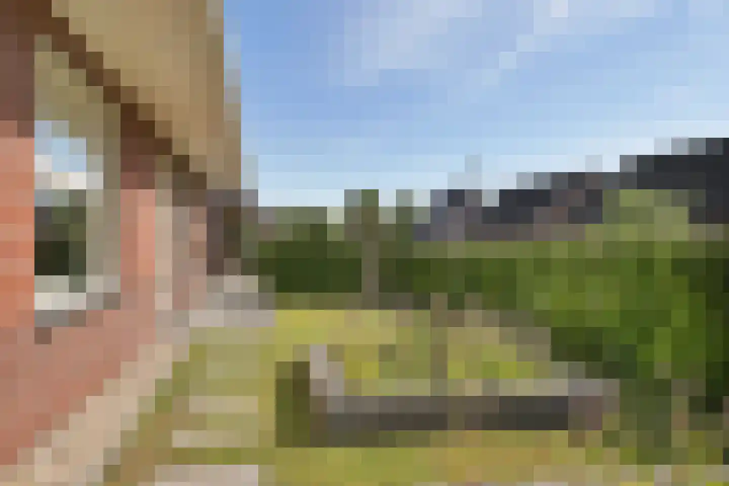 Gentiaan 20 Wijnjewoude thumbnail 45