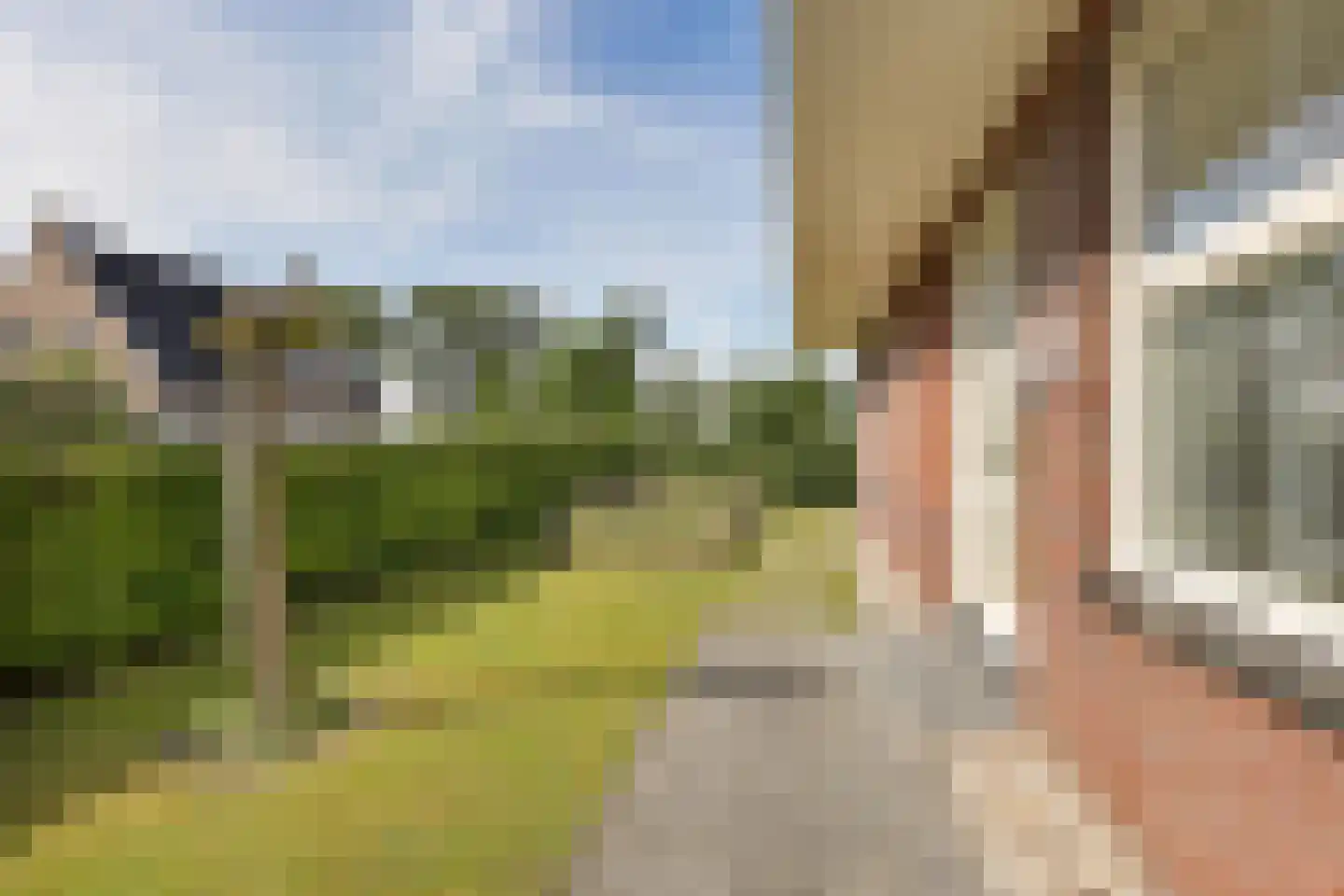 Gentiaan 20 Wijnjewoude thumbnail 46
