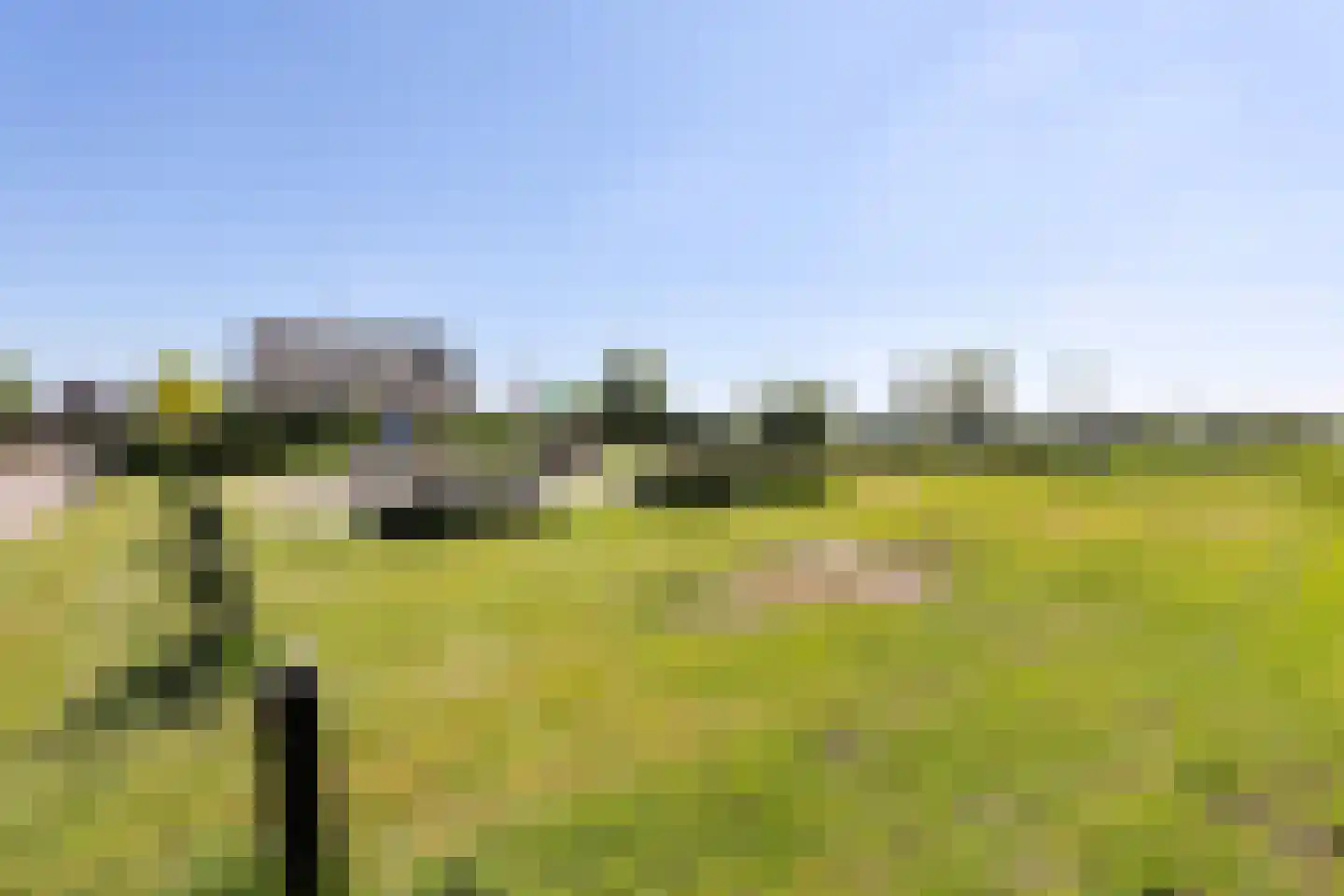 Gentiaan 20 Wijnjewoude thumbnail 47