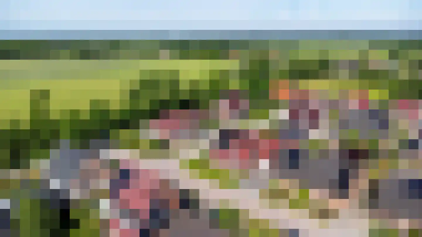 Gentiaan 20 Wijnjewoude thumbnail 48