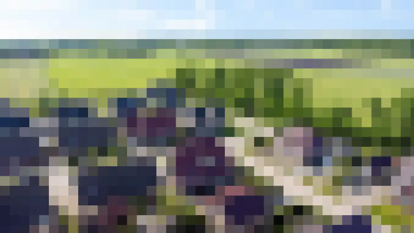 Gentiaan 20 Wijnjewoude thumbnail 49