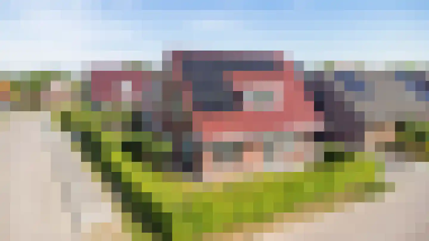 Gentiaan 20 Wijnjewoude thumbnail 5