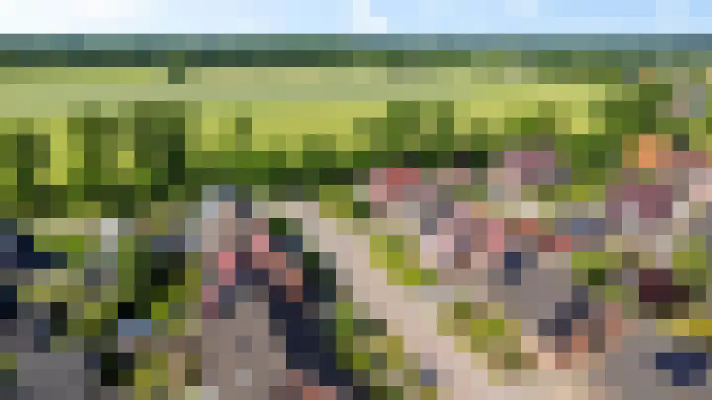 Gentiaan 20 Wijnjewoude thumbnail 50