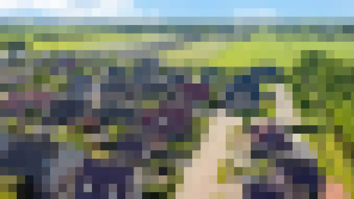 Gentiaan 20 Wijnjewoude thumbnail 51