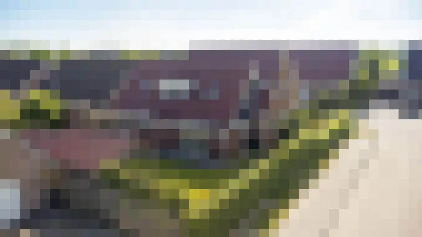Gentiaan 20 Wijnjewoude thumbnail 52