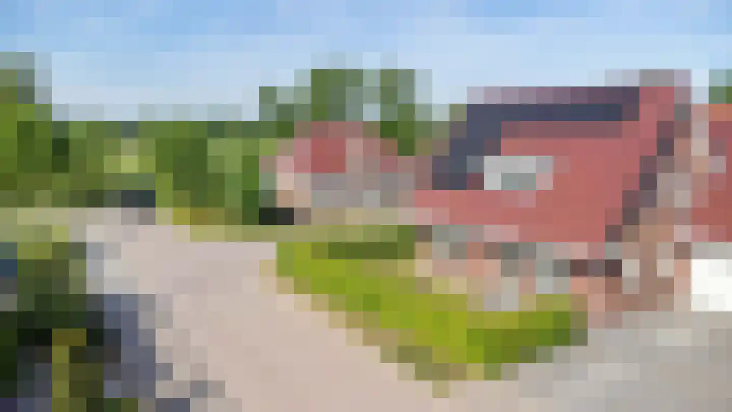 Gentiaan 20 Wijnjewoude thumbnail 7