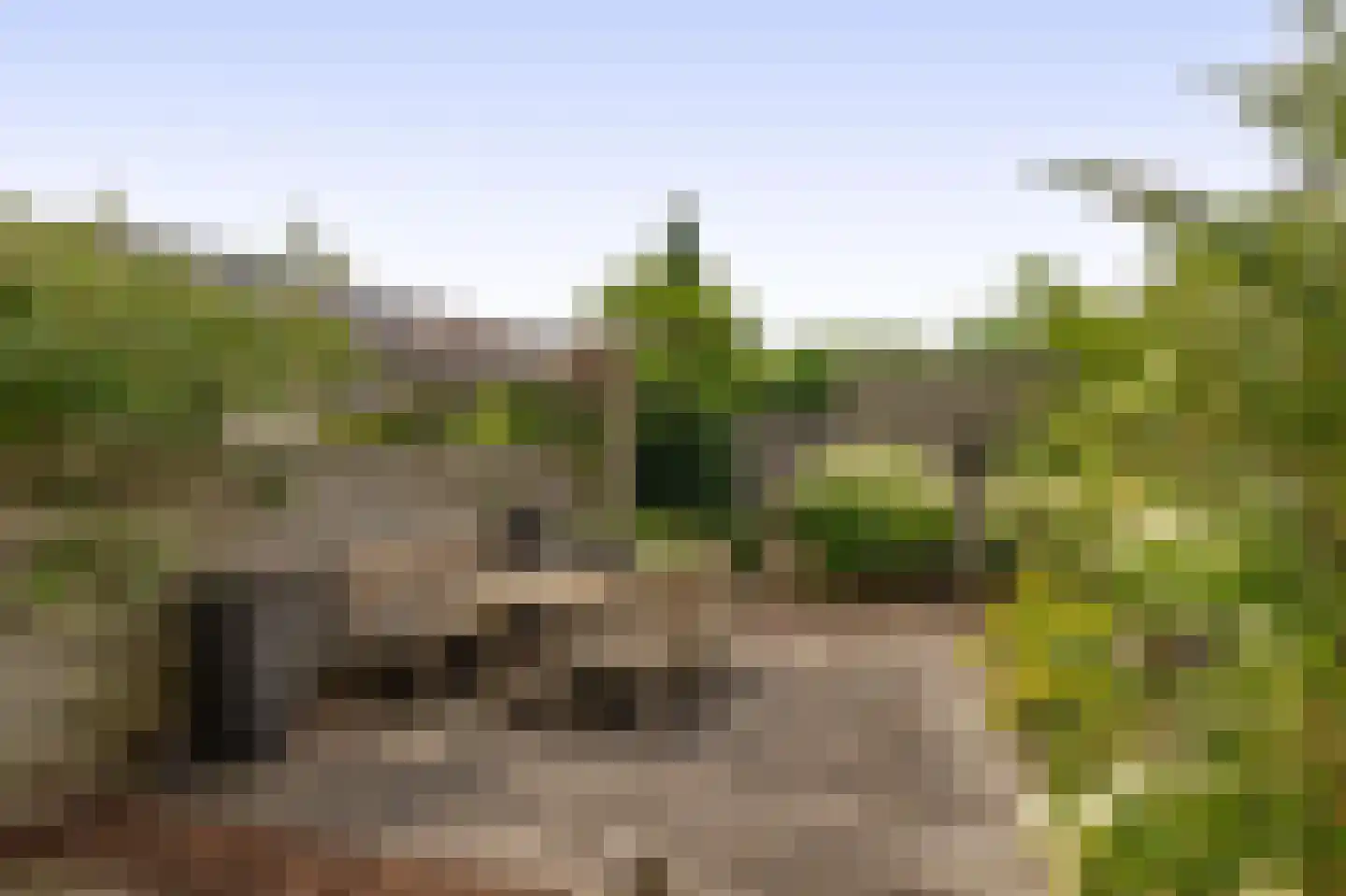 Gentiaan 22 Nootdorp thumbnail 17
