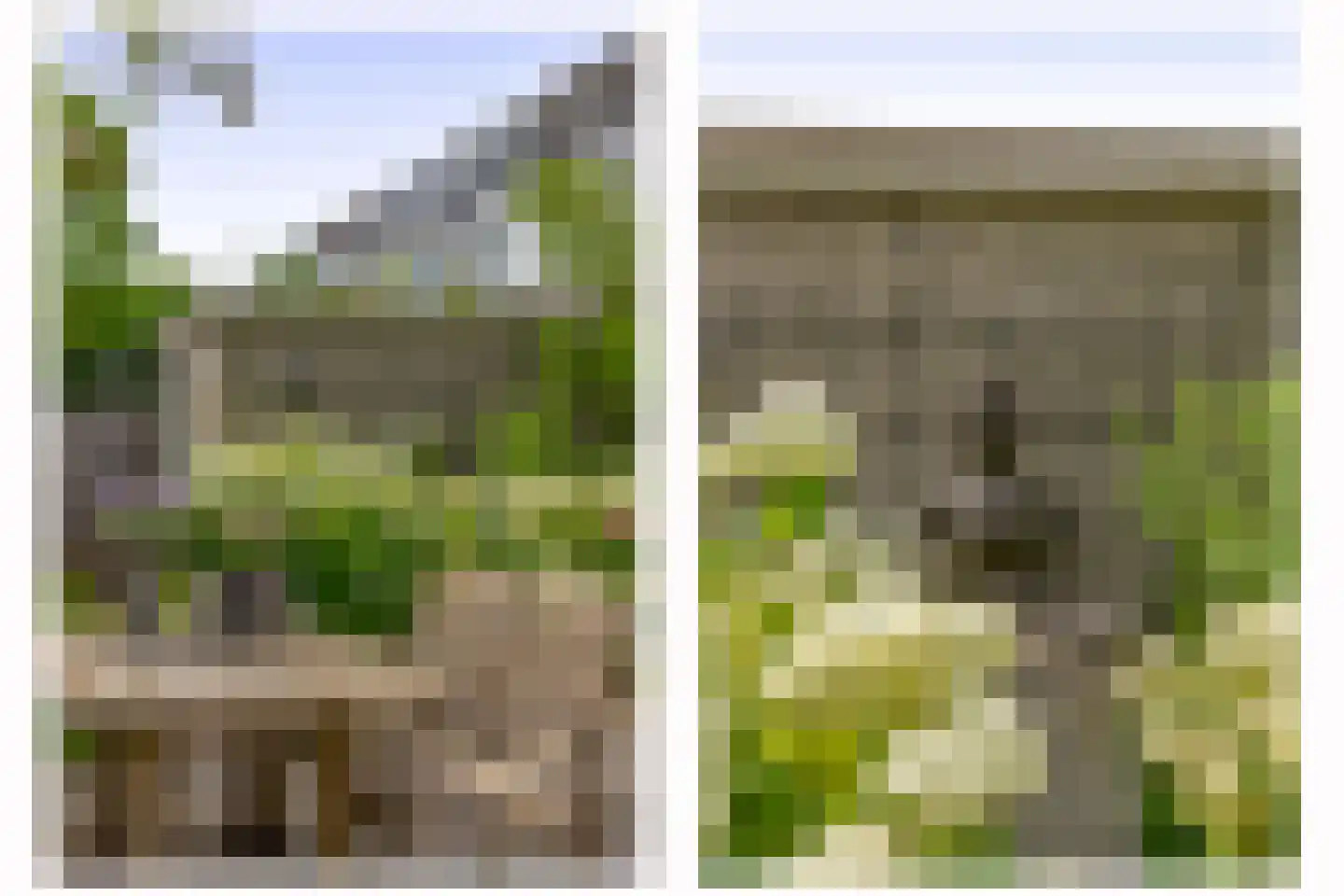 Gentiaan 22 Nootdorp thumbnail 21