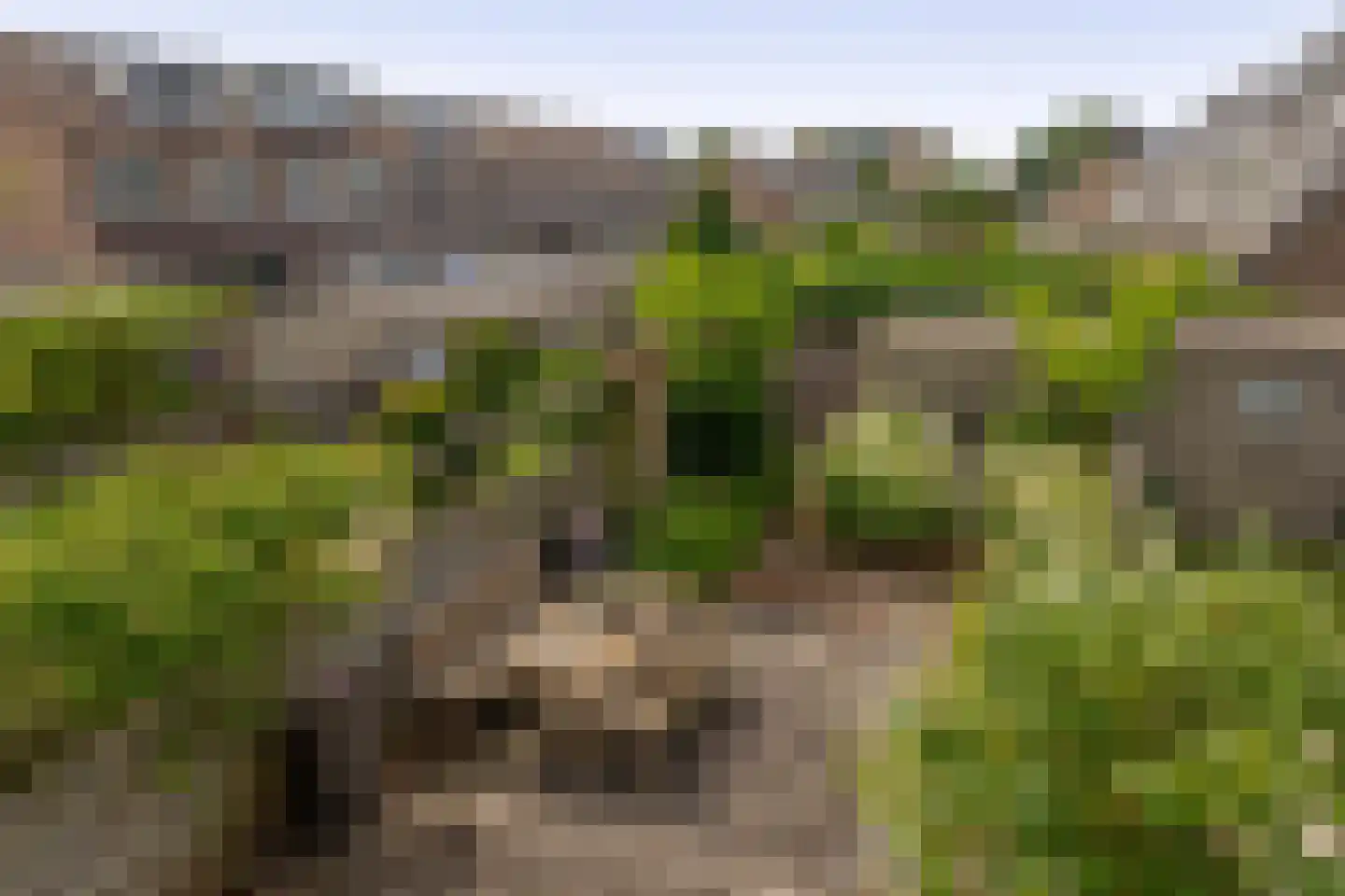 Gentiaan 22 Nootdorp thumbnail 28