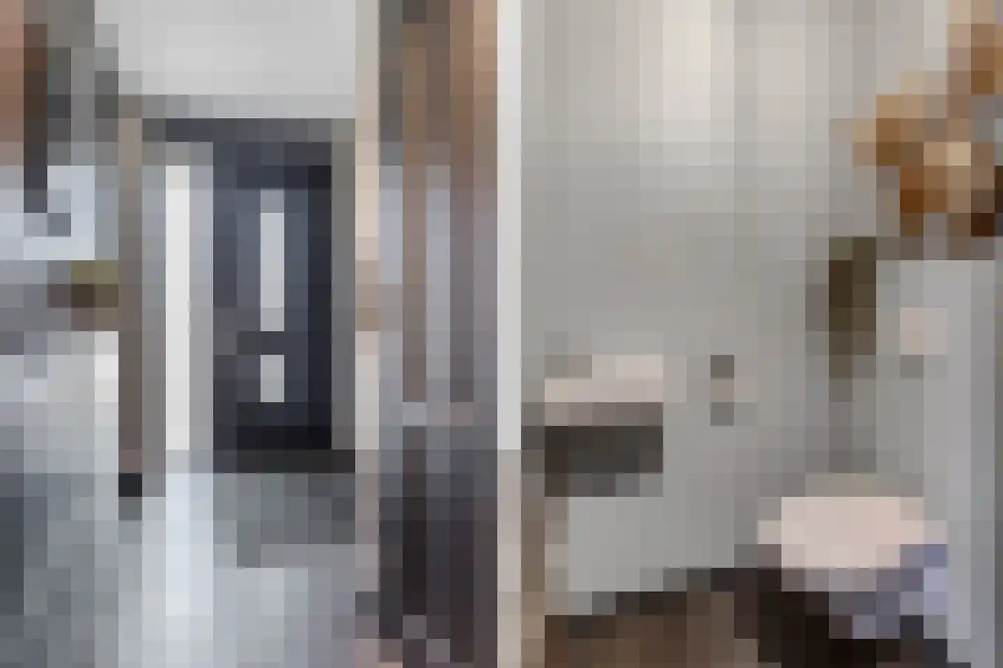 Gentiaan 24 Marknesse thumbnail 13