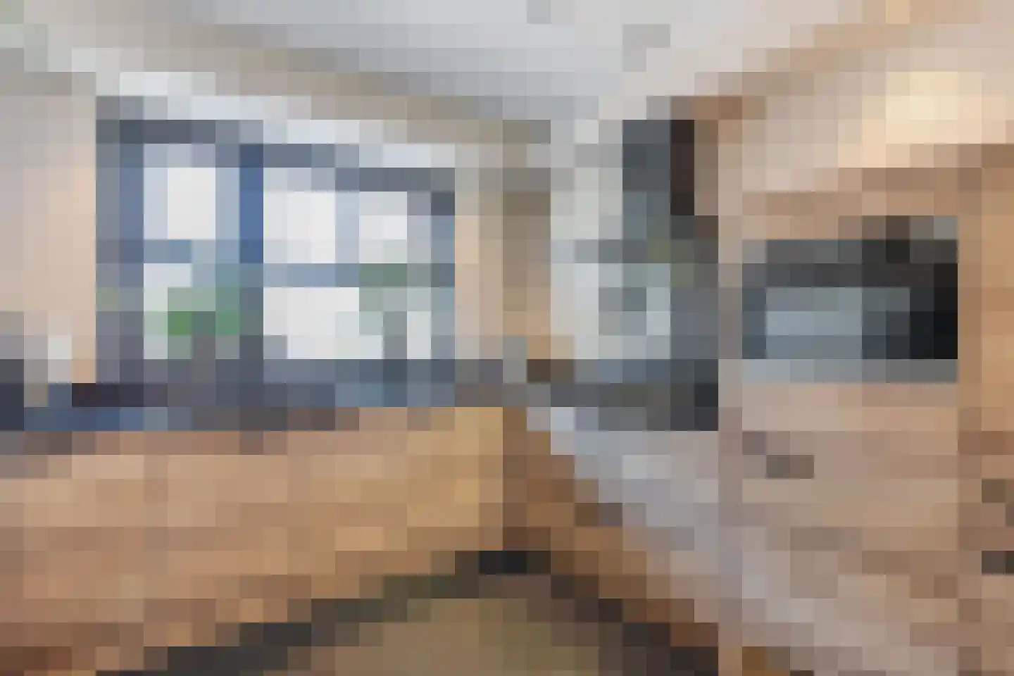 Gentiaan 24 Marknesse thumbnail 20