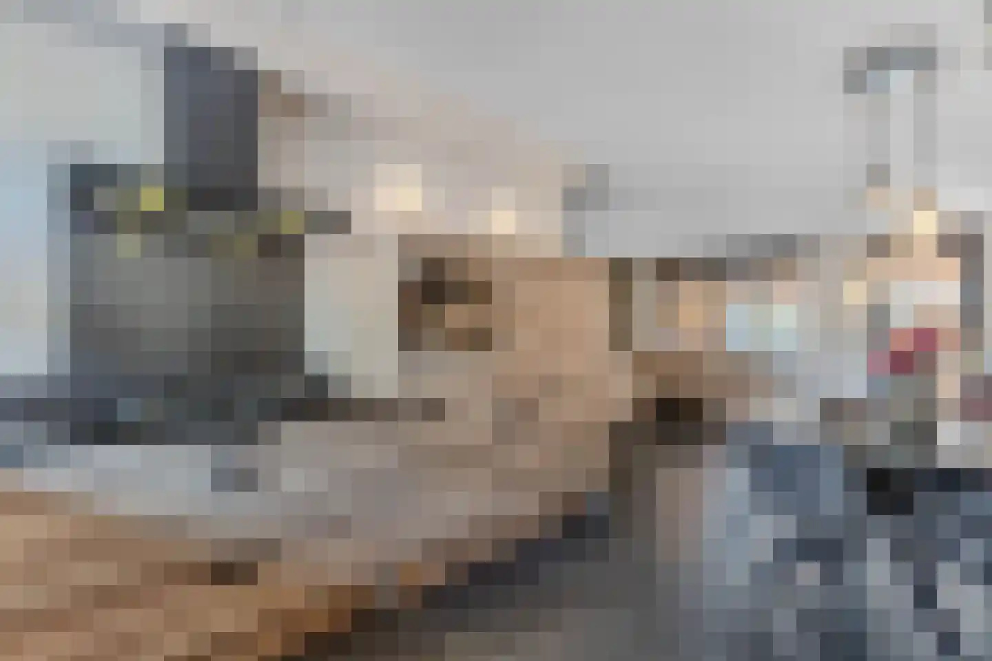Gentiaan 24 Marknesse thumbnail 21