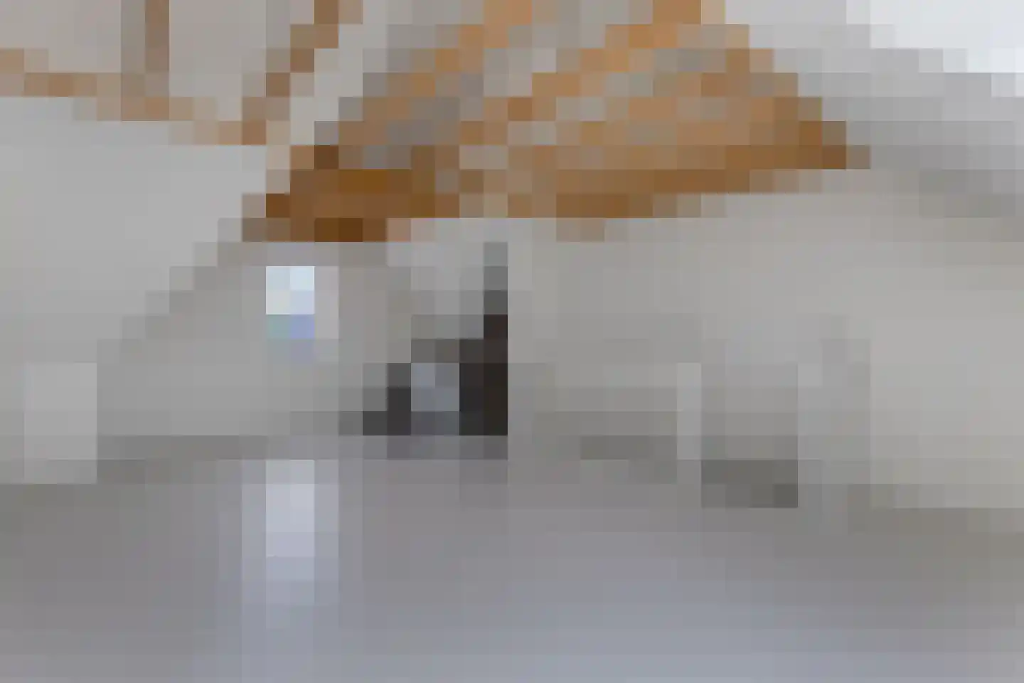 Gentiaan 24 Marknesse thumbnail 29