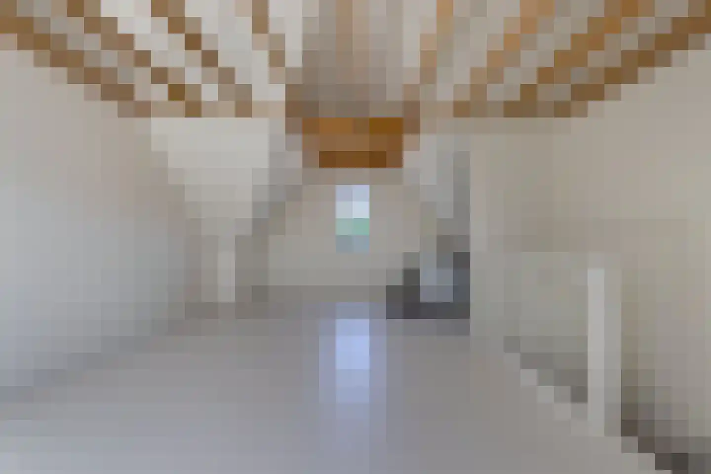 Gentiaan 24 Marknesse thumbnail 30