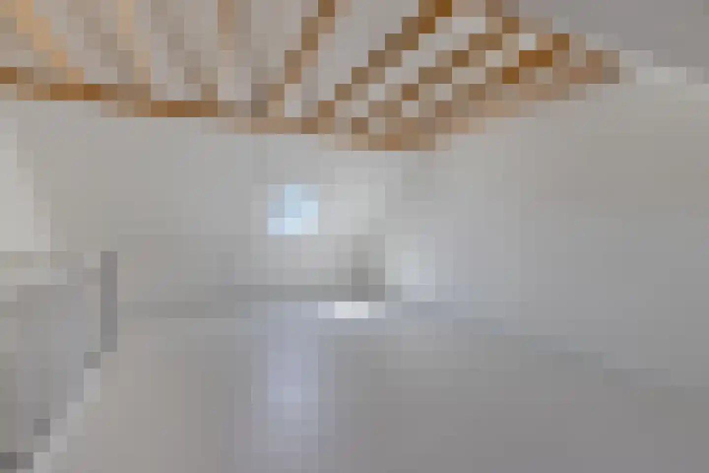 Gentiaan 24 Marknesse thumbnail 31